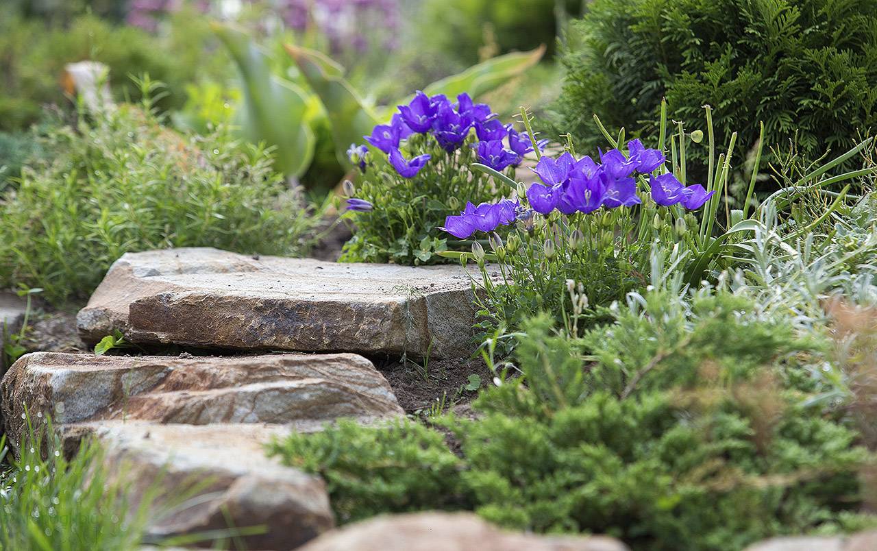 Проект Крекшино